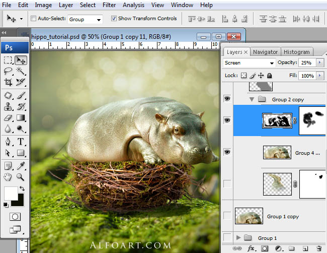 hippo, photoshop, nest, egg, shell, flying hippo, cute, baby, wings, hippopotamus, feathers